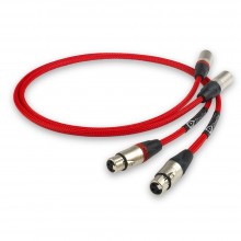 코드컴퍼니 쇼라인 XLR케이블 / Shawline XLR CABLE / XLR케이블